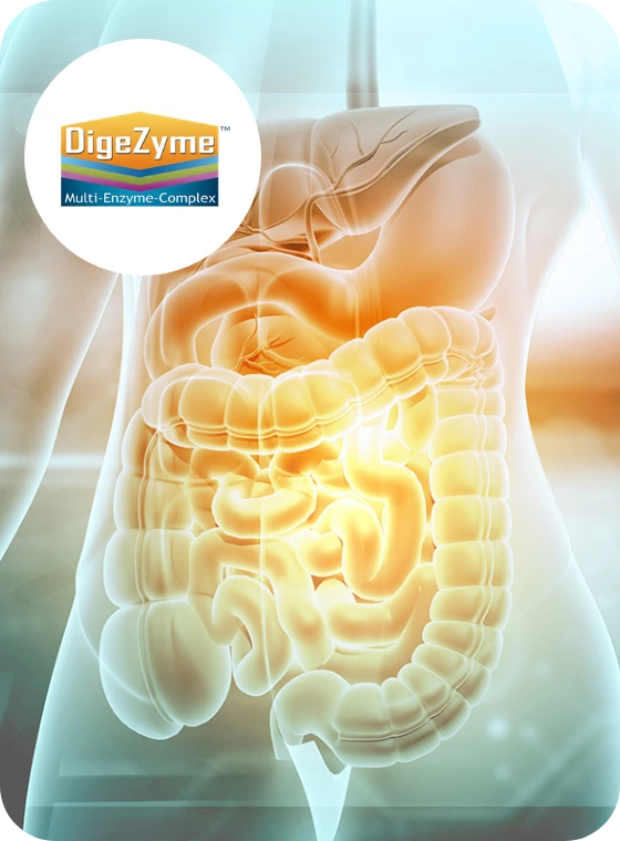 DigeZyme enzimi digestivi