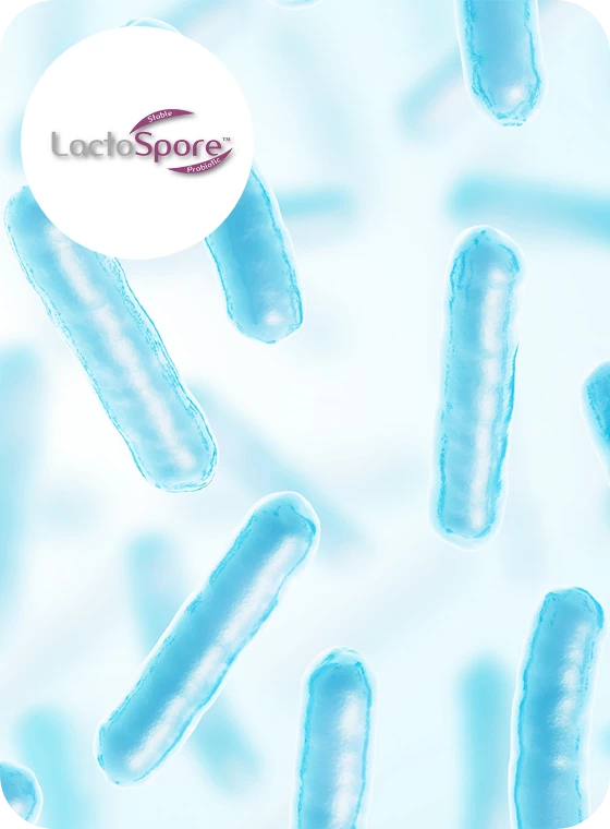 LactoSpore probiotico